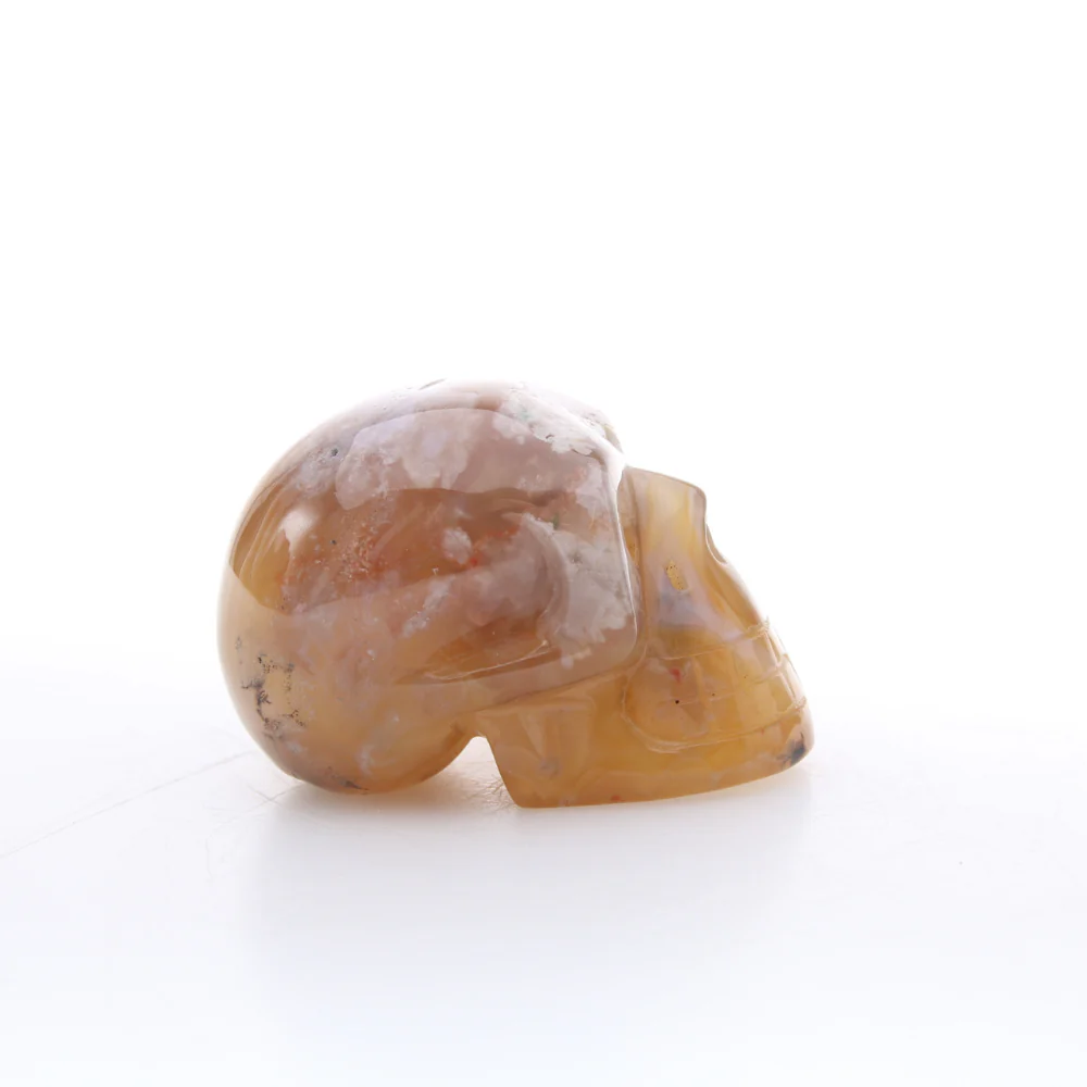 Miniatuur 2