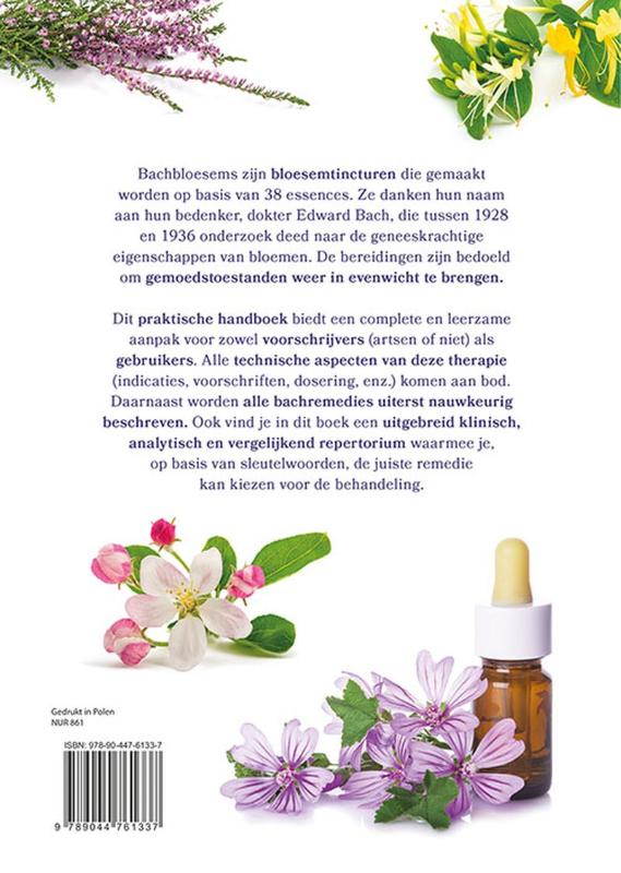 Miniatuur 2