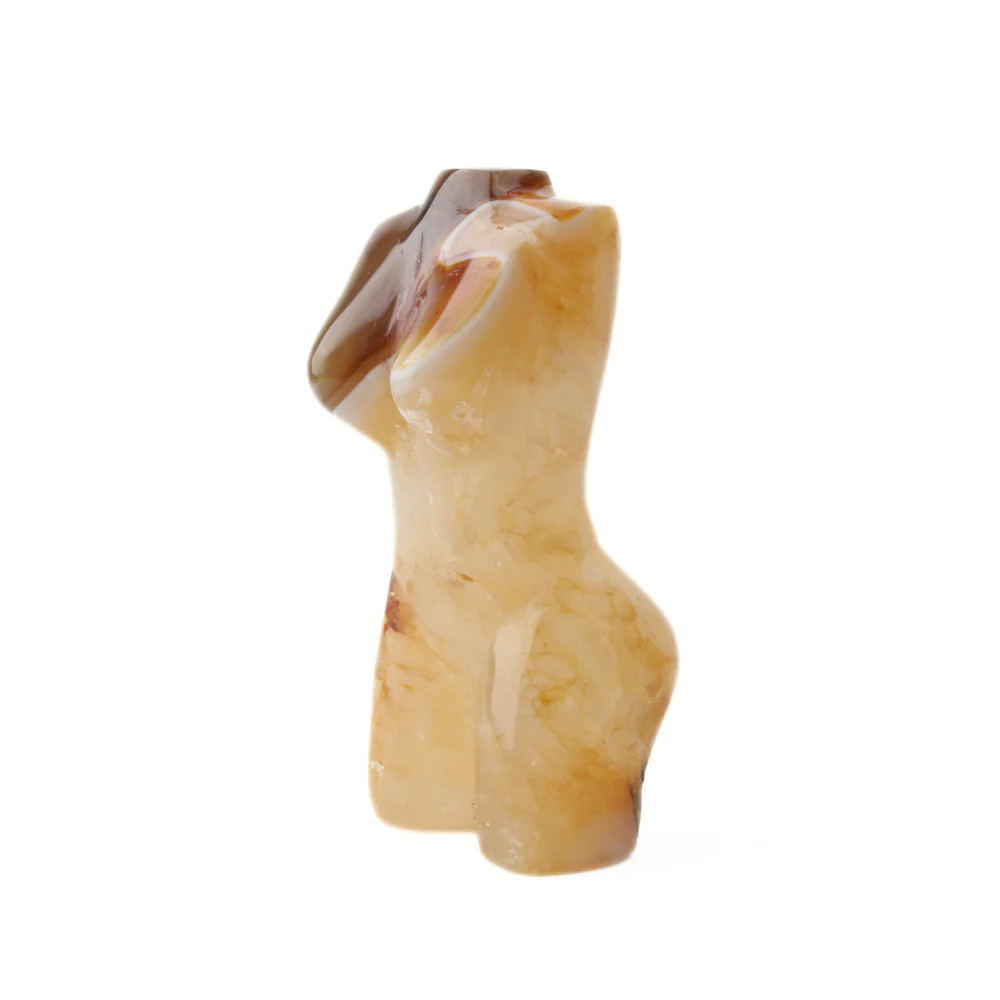 Miniatuur 1