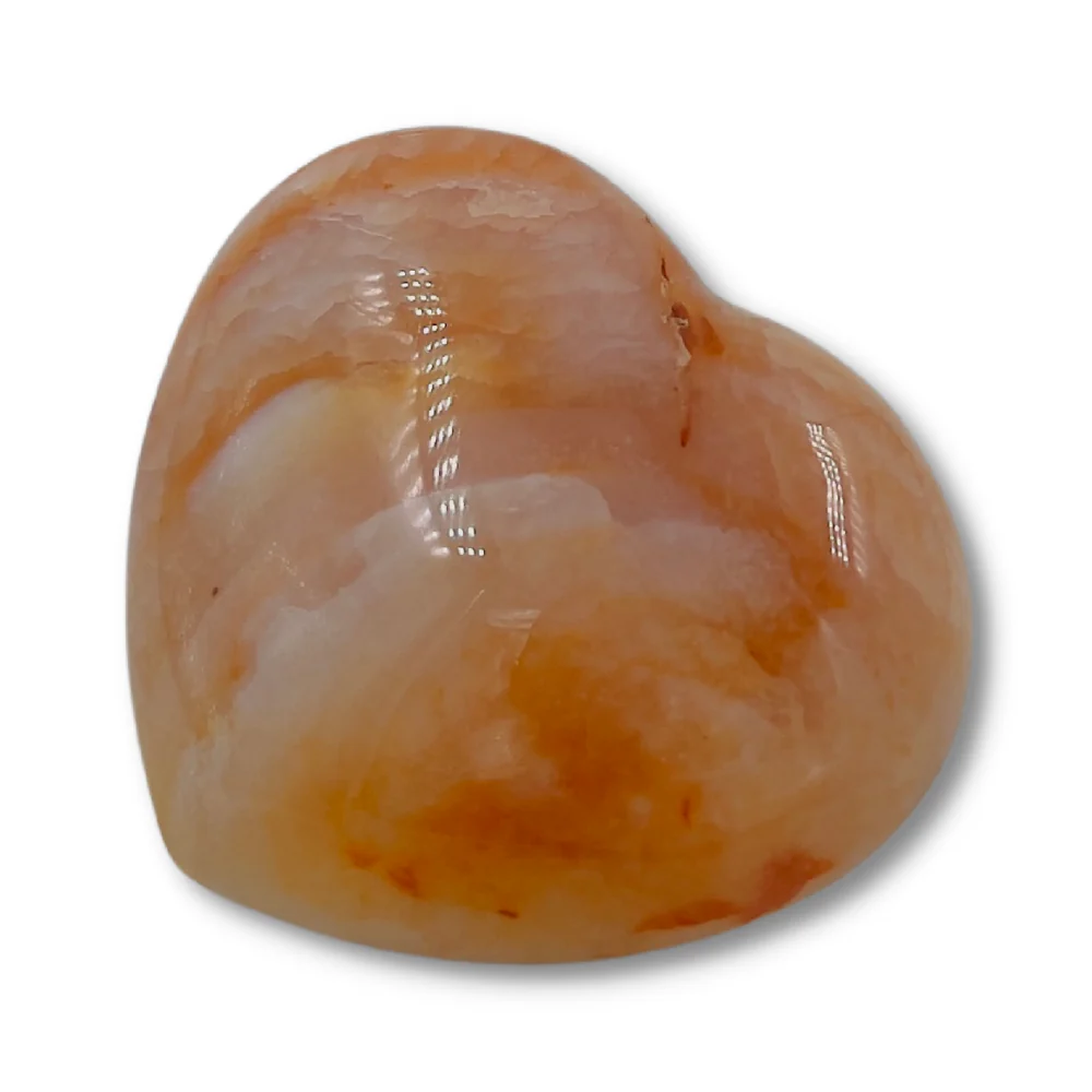 Miniatuur 2