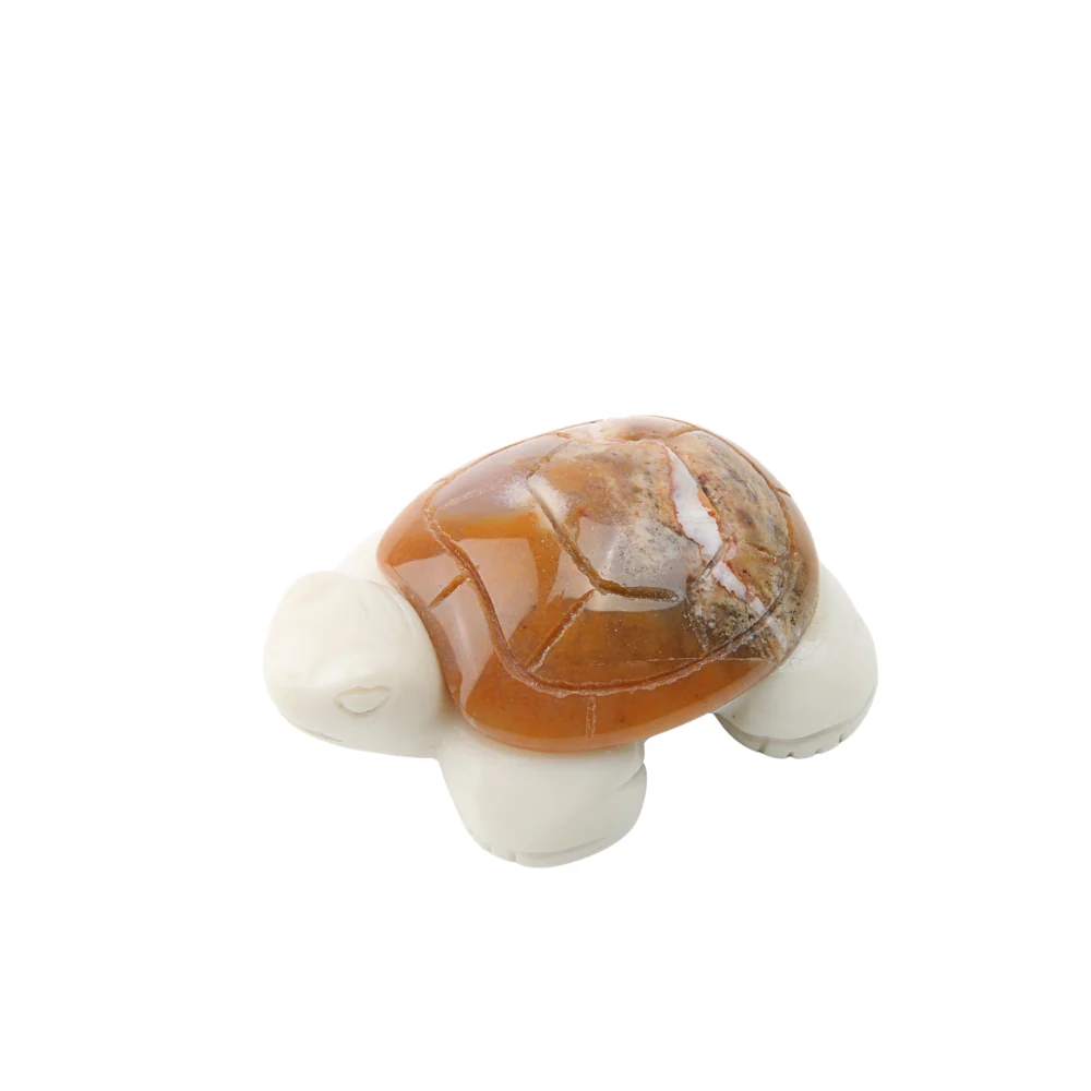 Miniatuur 1