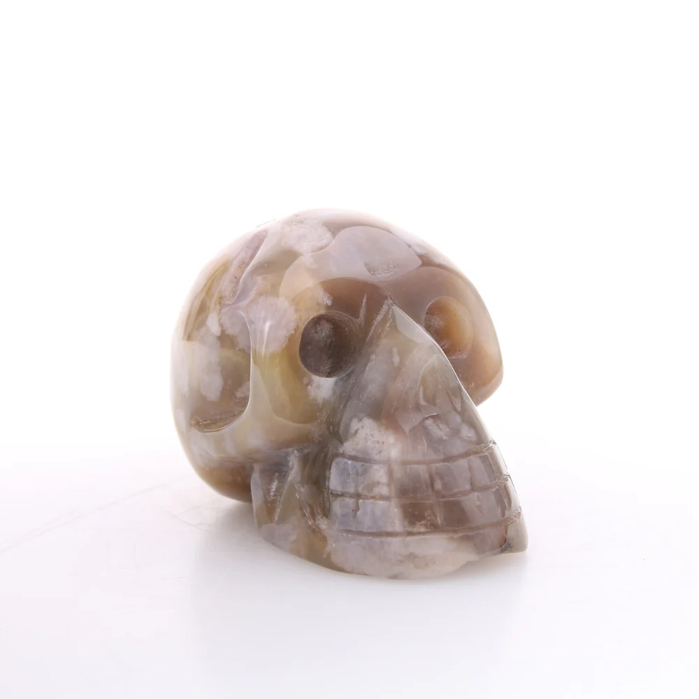 Miniatuur 1