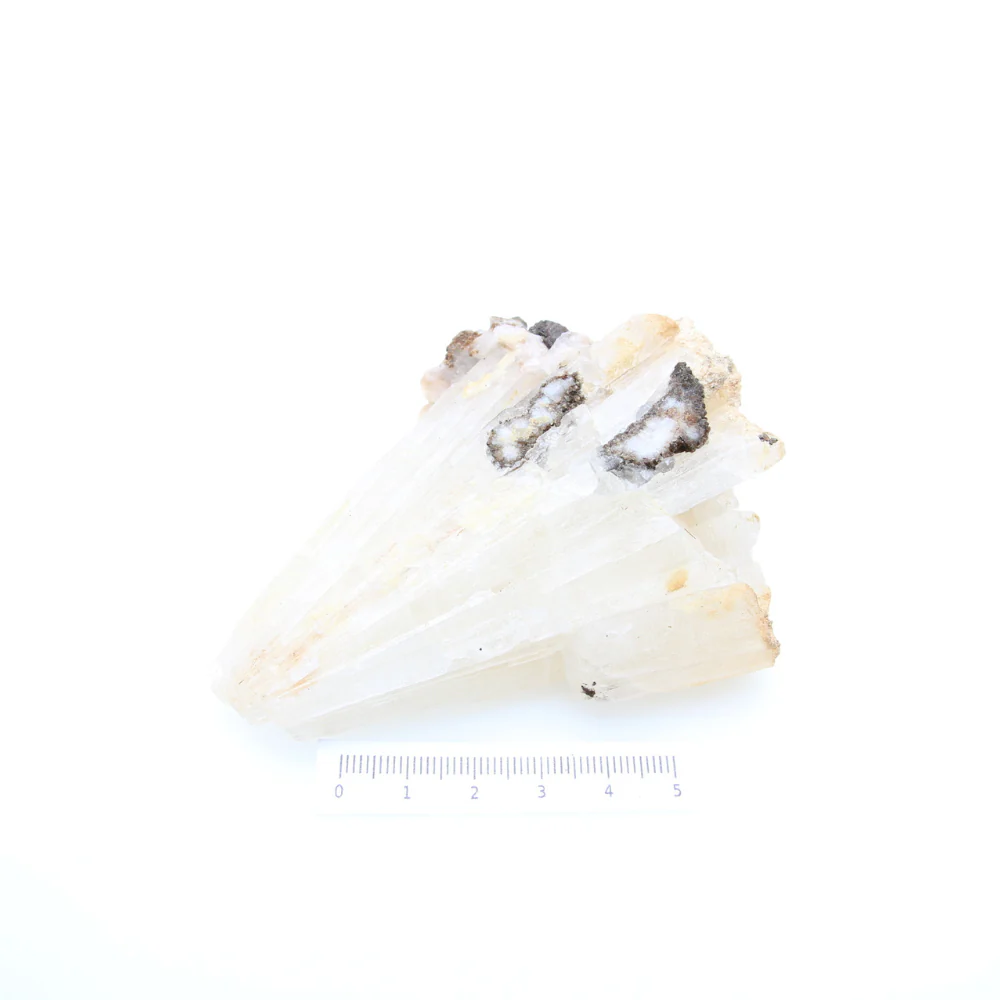 Miniatuur 2