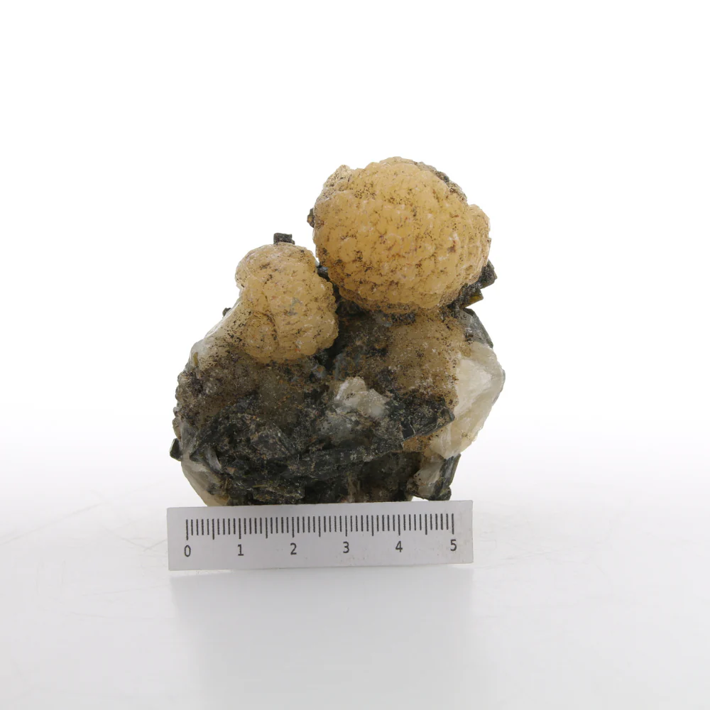 Miniatuur 2