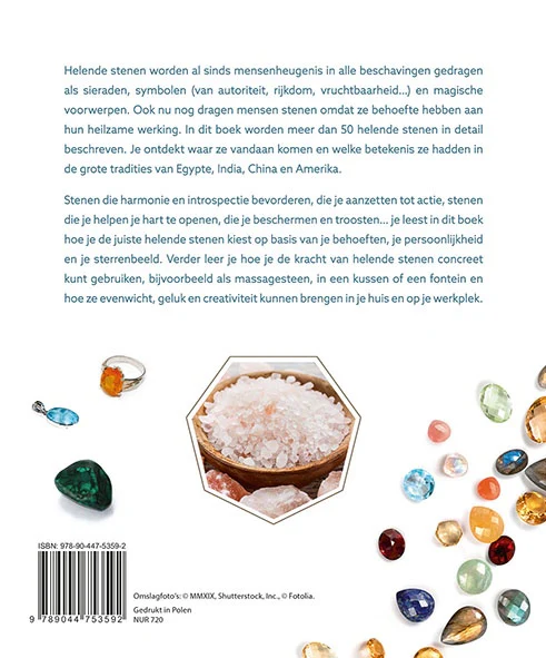 Miniatuur 2