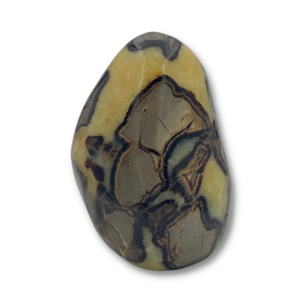 Miniatuur 1