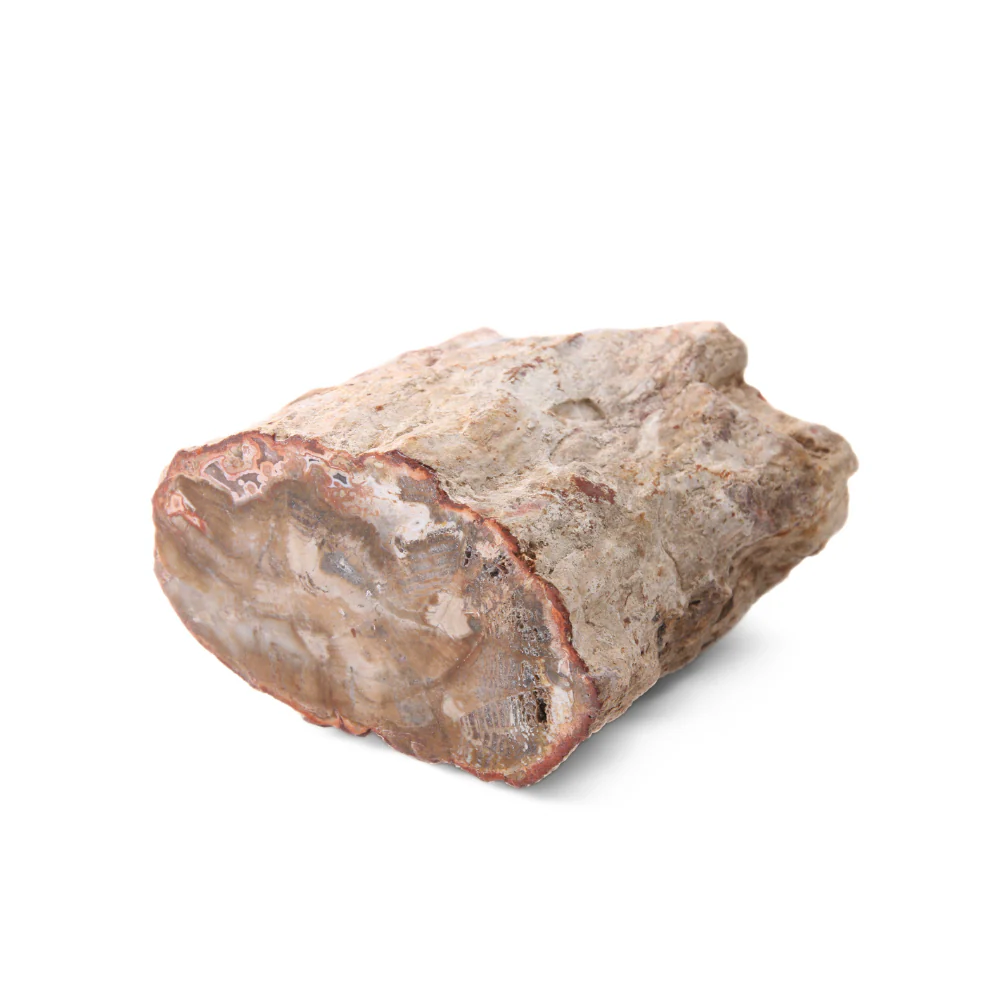 Miniatuur 2