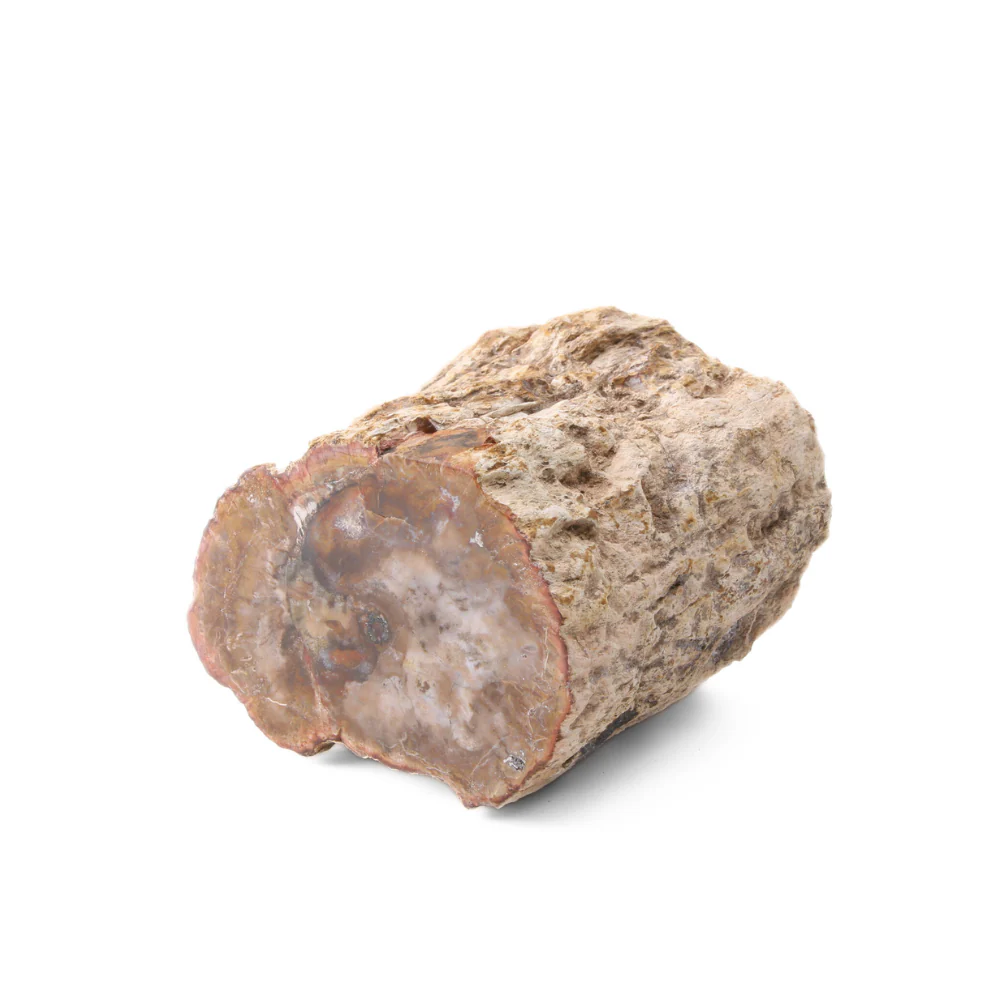 Miniatuur 2